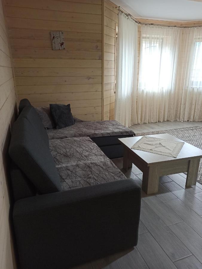 Brand New 2020 Specious Apartment Druzi 2 Polanica Zewnętrze zdjęcie